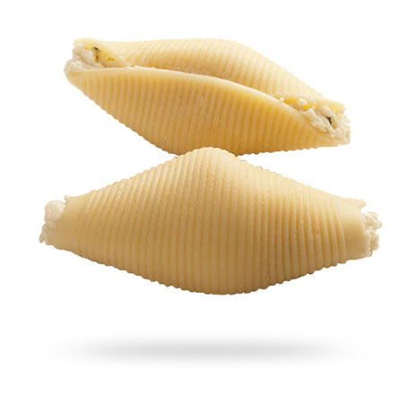 Cheese Shell Pasta